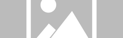 桑乔社媒动态引发轰动，贝西克塔斯球迷热情招募获500万互动